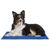 WellHome Coussin rafraîchissant en polyester