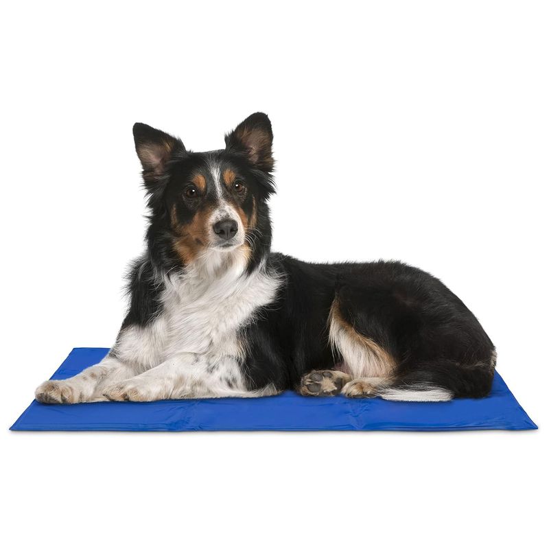 WellHome Coussin rafraîchissant en polyester