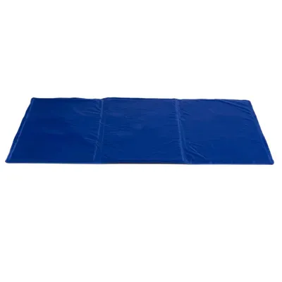 WellHome Coussin rafraîchissant en polyester
