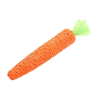 ZenPets Jouet en forme de carotte en corde pour chat