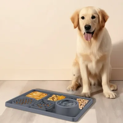 ZenPets Plat à lécher pour chien