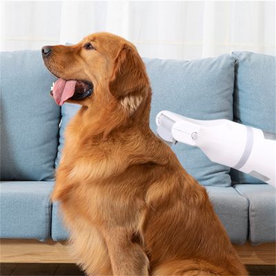 ZenPets Peigne antipuces pour animaux de compagnie