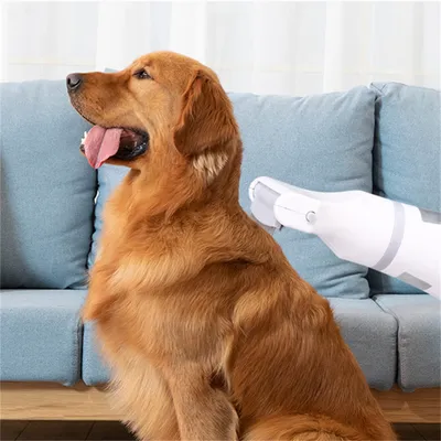 ZenPets Peigne antipuces pour animaux de compagnie