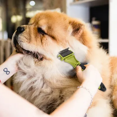 ZenPets Peigne démêlant pour animaux
