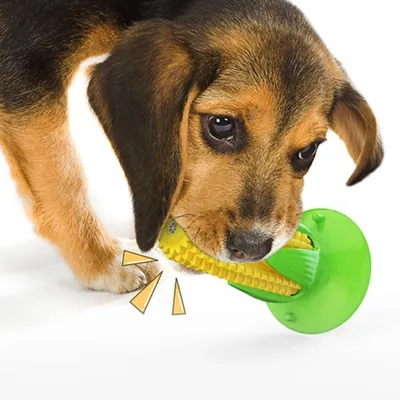 ZenPets Jouet couineur pour chien en forme de maïs