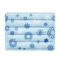 ZenPets Matelas de glace pour chien et chat