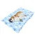 ZenPets Matelas de glace pour chien et chat