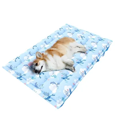 ZenPets Matelas de glace pour chien et chat