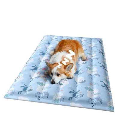 ZenPets Matelas de glace pour chien et chat