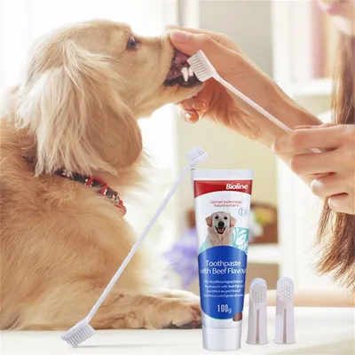 ZenPets Kit de dentifrice et de brosse pour animaux de compagnie