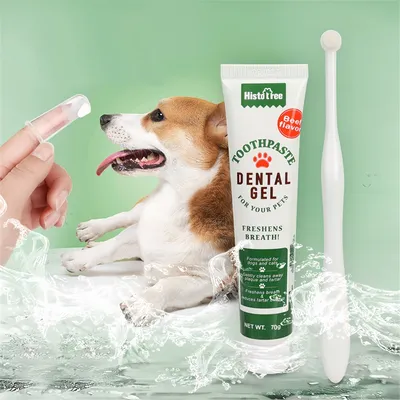ZenPets Kit de Dentifrice et de Brosse pour Animaux de Compagnie
