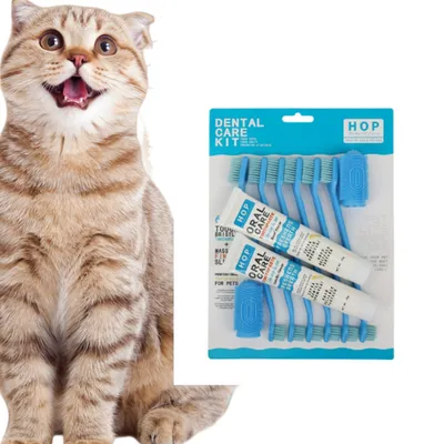 ZenPets Kit de Dentifrice et de Brosse à Dents pour Animaux de Compagnie