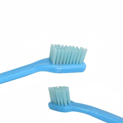 ZenPets Kit de Dentifrice et de Brosse à Dents pour Animaux de Compagnie