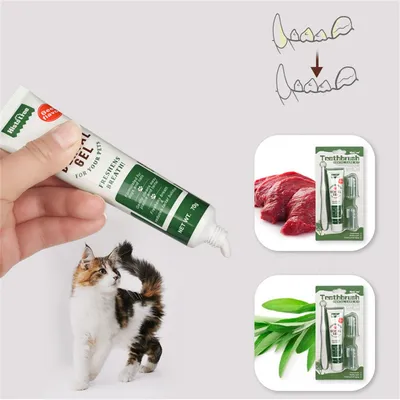 ZenPets Kit de Dentifrice et de Brosse pour Animaux de Compagnie