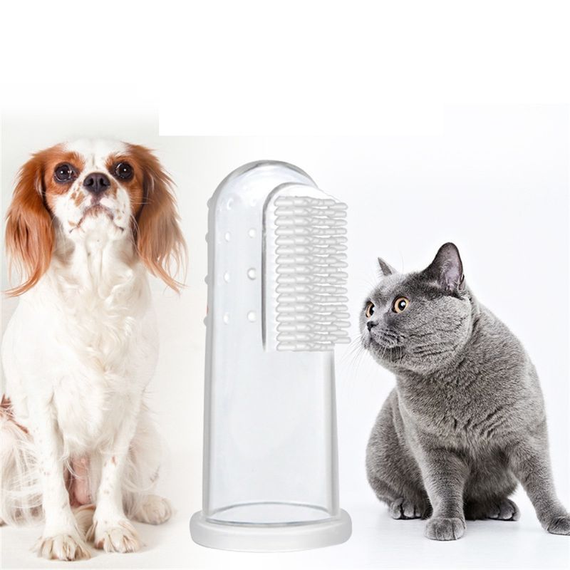 ZenPets Kit de Dentifrice et de Brosse pour Animaux de Compagnie