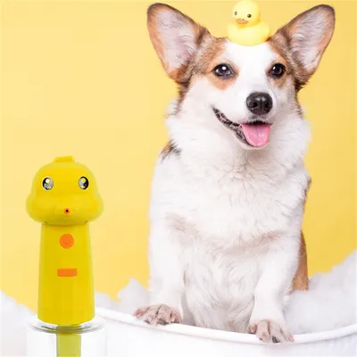 ZenPets Mousseur pour bain d'animaux de compagnie