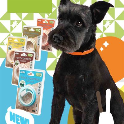 ZenPets Colliers anti-insectes pour chiens
