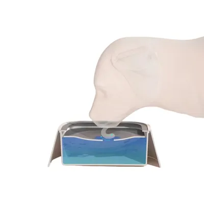 ZenPets Gamelle anti-éclaboussures pour chien- 500 Piece