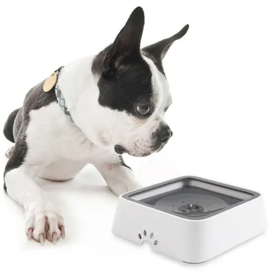 ZenPets Gamelle anti-éclaboussures pour chien