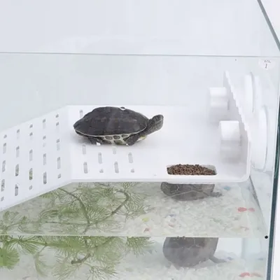 ZenPets Plateforme de soleil pour tortue en acrylique blanc
