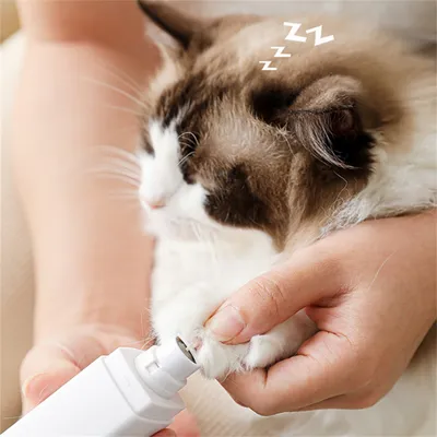 ZenPets Meuleuse à griffes pour animaux de compagnie