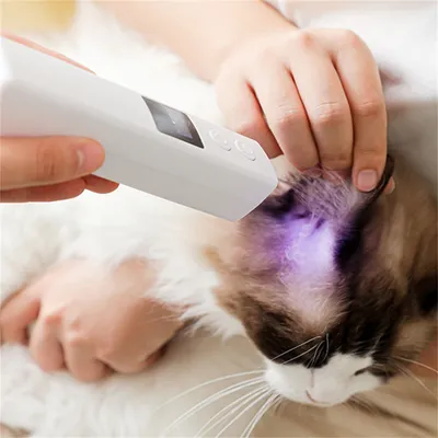 ZenPets Meuleuse à griffes pour animaux de compagnie