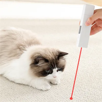 ZenPets Meuleuse à griffes pour animaux de compagnie