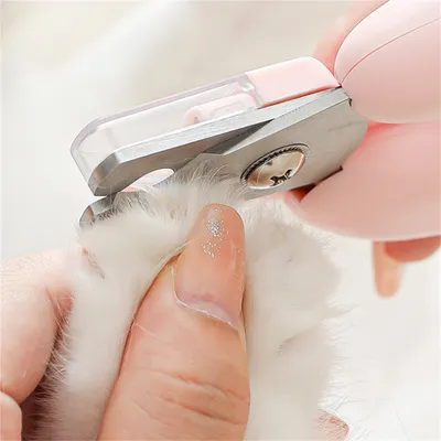 ZenPets Tondeuse à griffes pour animaux de compagnie