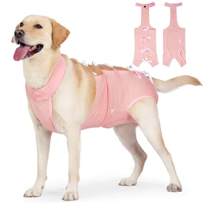 ZenPets Vêtement de rééducation post - opératoire pour chien