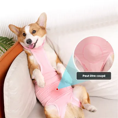 ZenPets Vêtement de rééducation post - opératoire pour chien