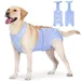 ZenPets Vêtement de rééducation post - opératoire pour chien