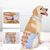 ZenPets Vêtement de rééducation post - opératoire pour chien