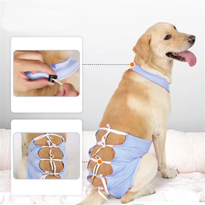 ZenPets Vêtement de rééducation post - opératoire pour chien