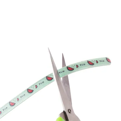 ZenPets Collier antipuce et anti-moustique pour animaux de compagnie