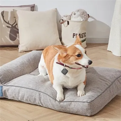 ZenPets Bluetooth Tracker Anti-Perte