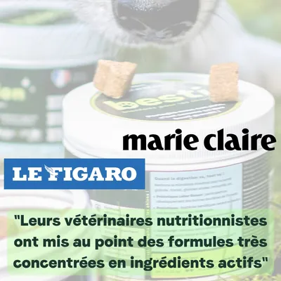 BESTI | Haleine, Dents & Gencives | Poudre Dentaire pour Chiens