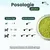 BESTI | Haleine, Dents & Gencives | Poudre Dentaire pour Chiens