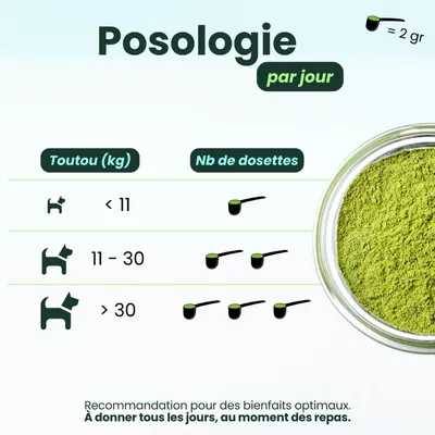 BESTI | Haleine, Dents & Gencives | Poudre Dentaire pour Chiens
