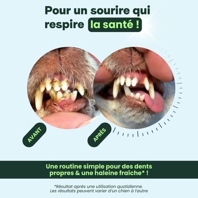 BESTI | Haleine, Dents & Gencives | Poudre Dentaire pour Chiens