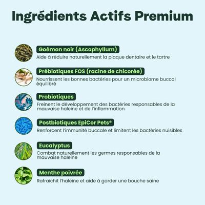 BESTI | Haleine, Dents & Gencives | Poudre Dentaire pour Chiens