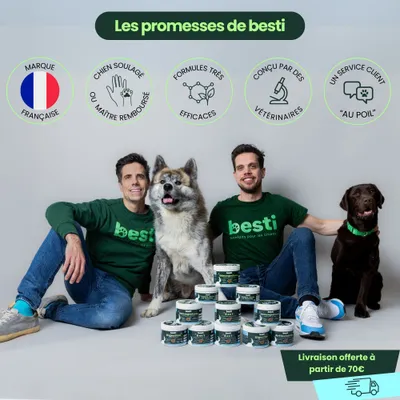 BESTI | 8 en 1 | Compléments Alimentaires Vétérinaires pour Chiens