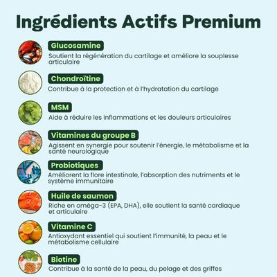 BESTI | 8 en 1 | Compléments Alimentaires Vétérinaires pour Chiens