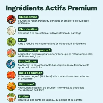 BESTI | 8 en 1 | Compléments Alimentaires Vétérinaires pour Chiens
