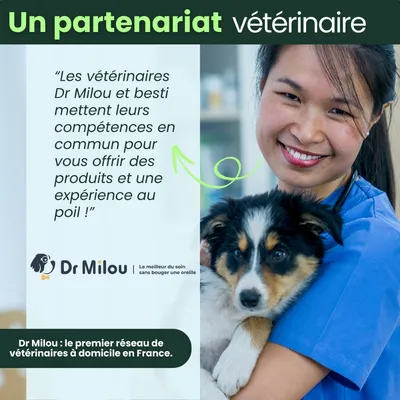 BESTI | 8 en 1 | Compléments Alimentaires Vétérinaires pour Chiens