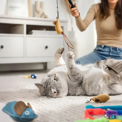 lionto canne à pêche pour chat télescopique avec 13 jouets