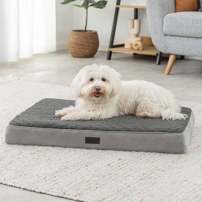 lionto lit orthopédique pour chien avec coussin lavable doux