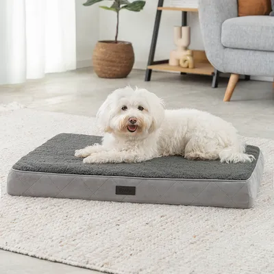 lionto lit orthopédique pour chien avec coussin lavable doux