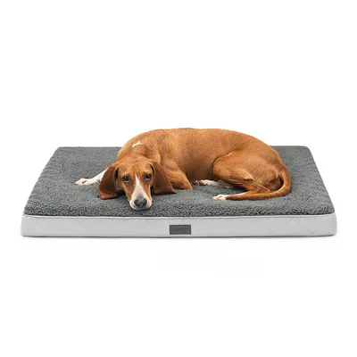 lionto orthopädisches Hundebett mit weichem, waschbarem Kissen