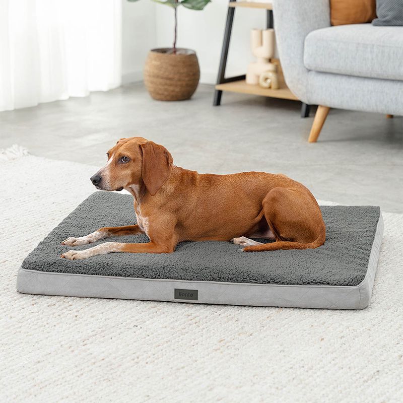 lionto lit orthopédique pour chien avec coussin lavable doux