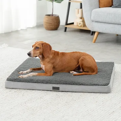 lionto lit orthopédique pour chien avec coussin lavable doux